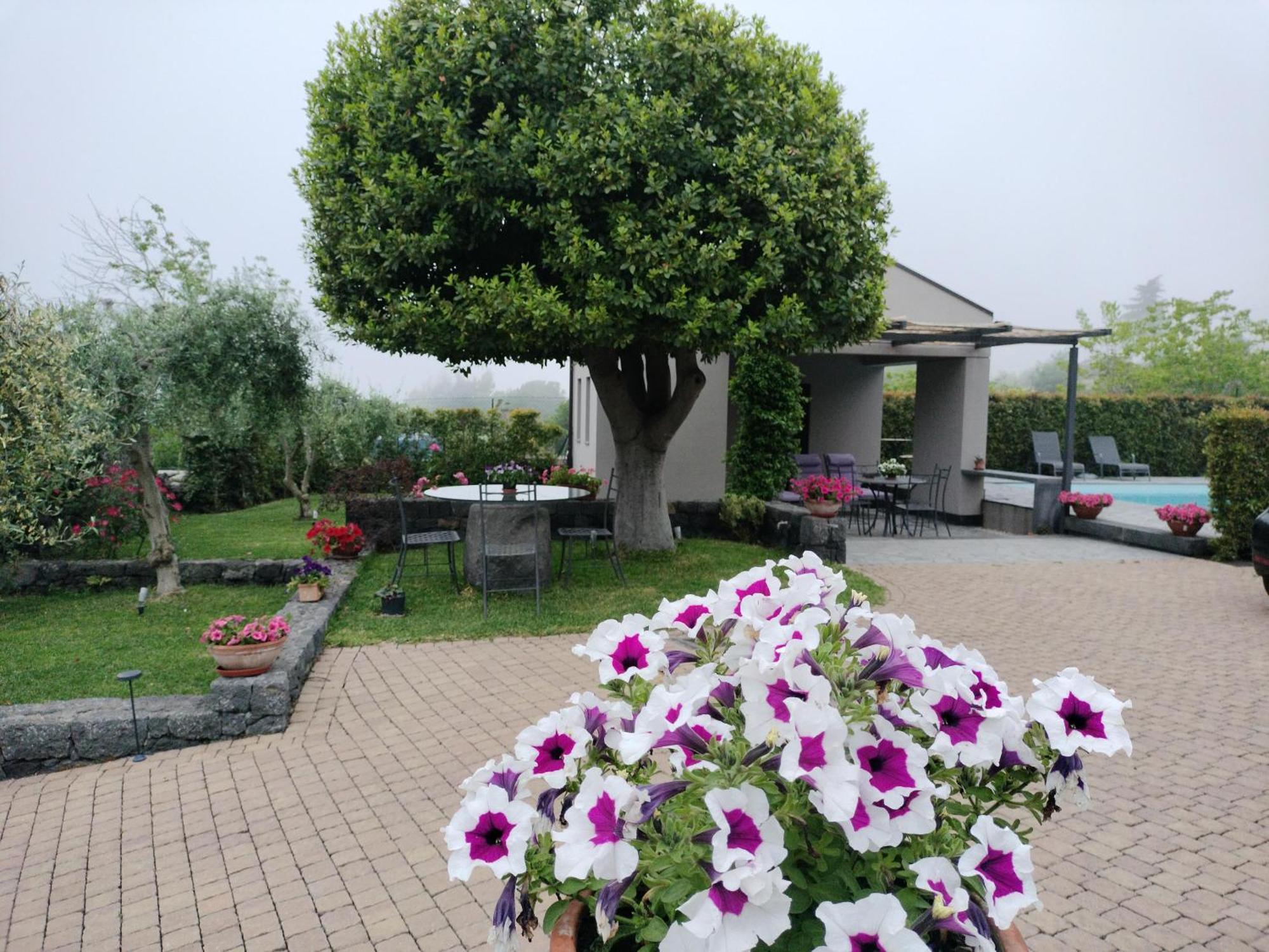 La Casa Dell'Alloro Zafferana Etnea Exteriör bild